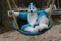 Bild von Fursuiter